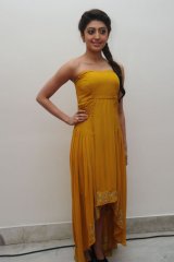 Pranitha at Alludu Seenu Audio Launch